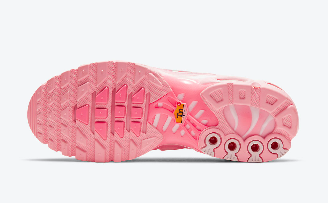 Nike Air Max Plus “Atlanta”