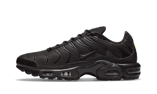 Nike Air Max Plus Triple Black (2021)